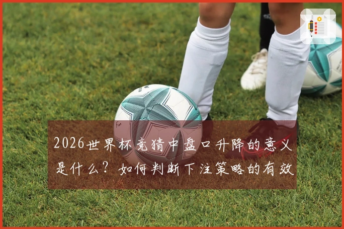 2026世界杯竞猜中盘口升降的意义是什么？如何判断下注策略的有效性？