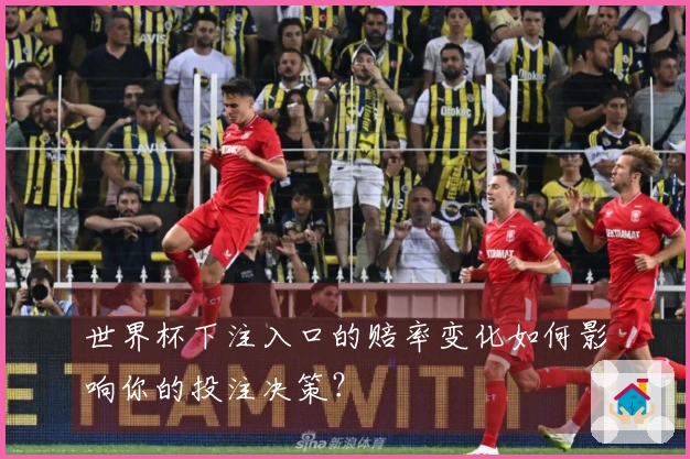 世界杯下注入口的赔率变化如何影响你的投注决策？