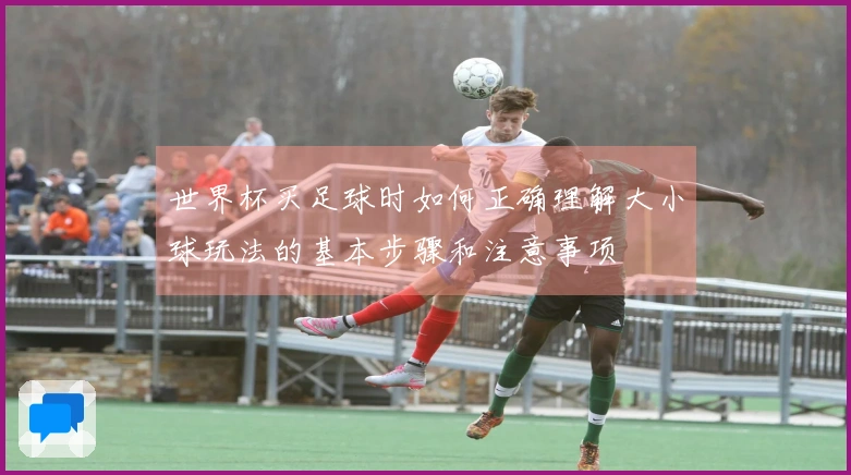 世界杯买足球时如何正确理解大小球玩法的基本步骤和注意事项