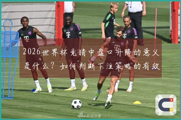 2026世界杯竞猜中盘口升降的意义是什么？如何判断下注策略的有效性？