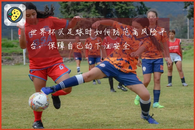 世界杯买足球时如何防范高风险平台，保障自己的下注安全